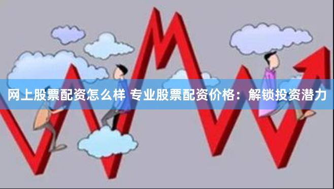网上股票配资怎么样 专业股票配资价格：解锁投资潜力