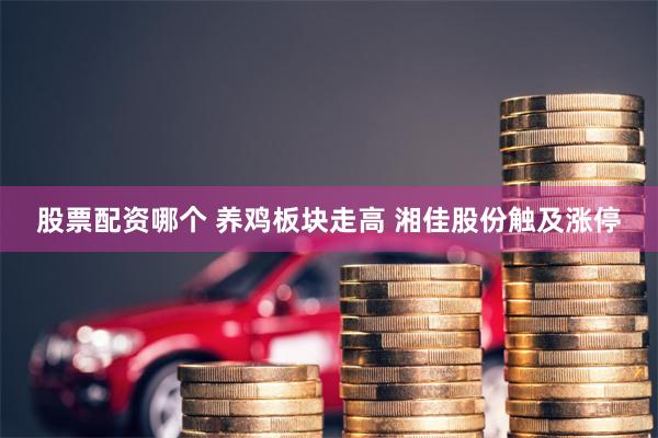 股票配资哪个 养鸡板块走高 湘佳股份触及涨停